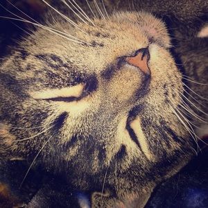 Meet your Posher, Marissa